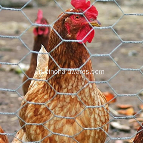 Rete metallica decorativa esagonale di pollo